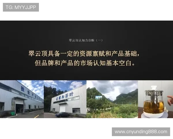 云顶公司命名策略分析，提升品牌认知度和客户信任度的方法