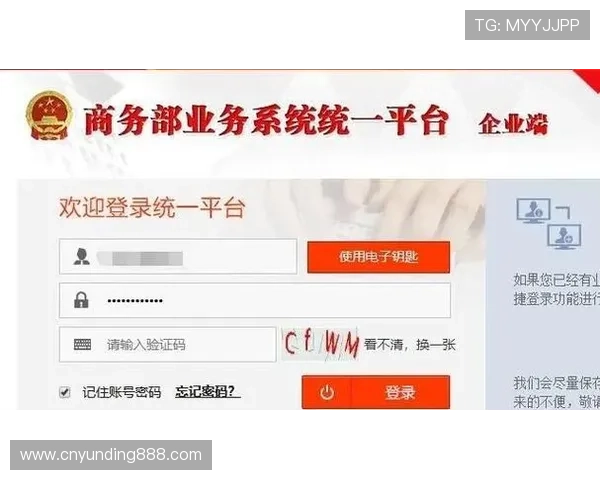 云顶集团登录入口：常见问题解决方案与登录流程全攻略